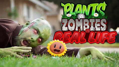 Plitch is an independent pc software providing. Plants vs Zombies in REAL LIFE! - YouTube