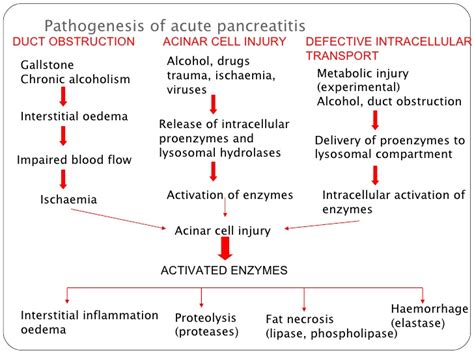 Acute Pancreatitis Stepwards