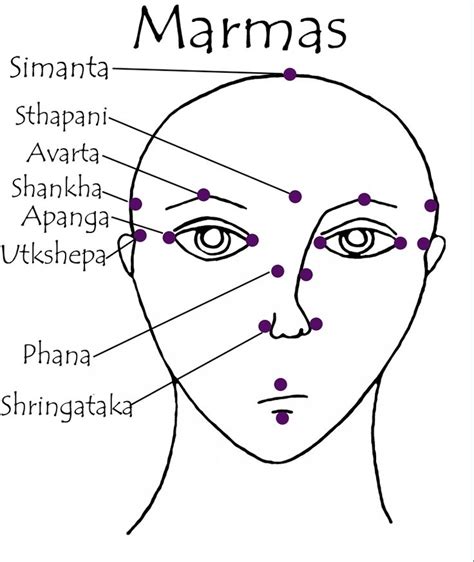 Marma Points Indian Head Massage Reflexology Massage Ayurveda Ayurvedic Therapy