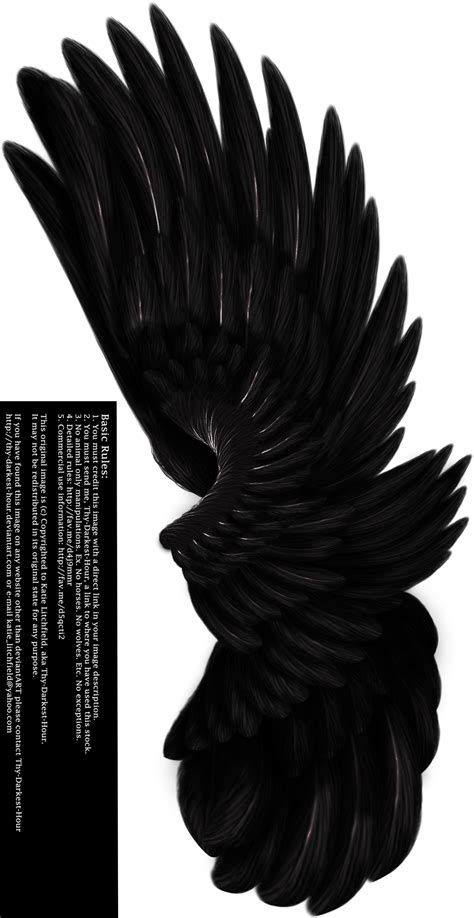 Dual Upright Wing Black By Thy Darkest Hour On Deviantart