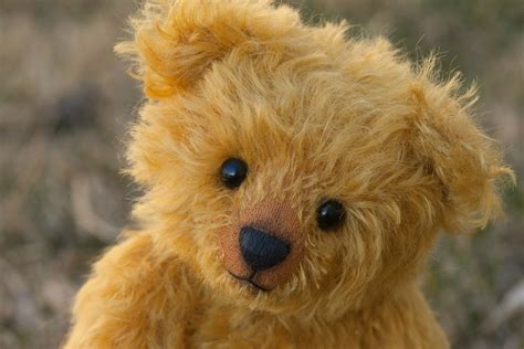 Teddy Bear Names 191 Cute And Creative Names For Your Childs Stuffed