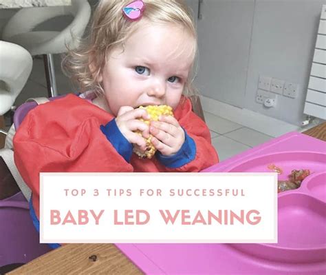 Top Three Tips For Successful Baby Led Weaning Feeding Bytes