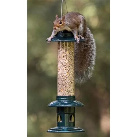 Jacobi Jayne Squirrel Buster™ Evolution Really Wild Bird Food