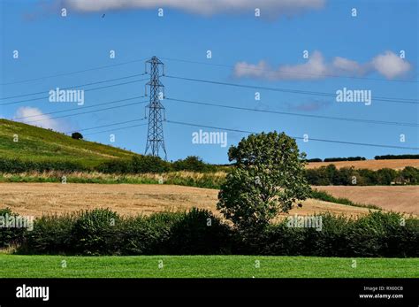 Pictured Are Electricity Power Lines Through A Field At Penshaw North