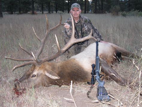 Big Horn Outfitters New Mexico Elk Hunting Guides And Hunts Big Horn