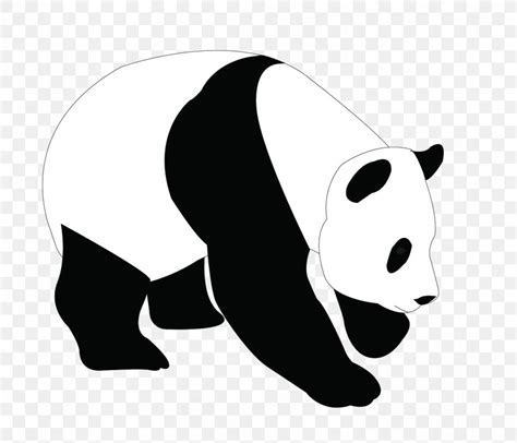 Giant Panda Bear Clip Art Png 1454x1250px Giant Panda