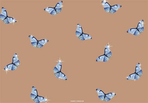 Butterfly Aesthetic Wallpapers Wallpapers Com