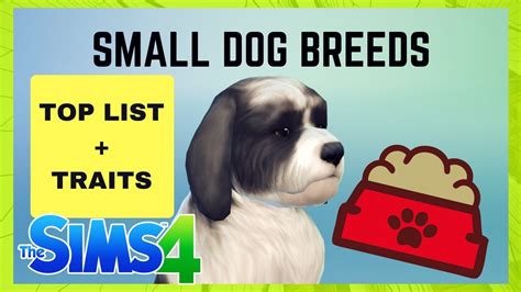 38 Small Dog Breeds The Sims 4 Ninesaur Youtube
