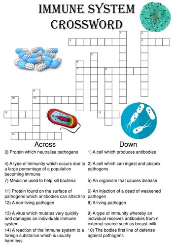 Biology Crossword Puzzle The Immune System Includes Answer Key