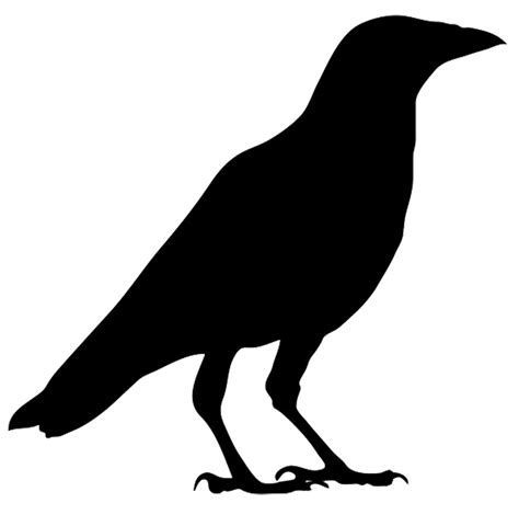 Flying Crow Drawing Clipart Best
