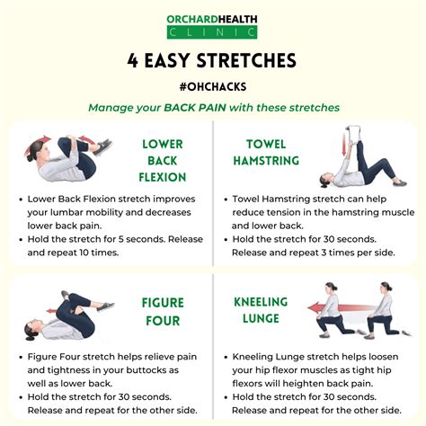 Easy Stretches For Back Pain Orchard Health Clinic Osteopathy