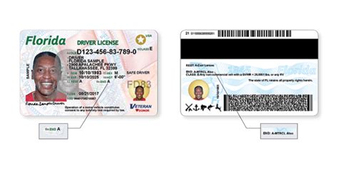 Coming Soon Floridas New Driver License And Id Card