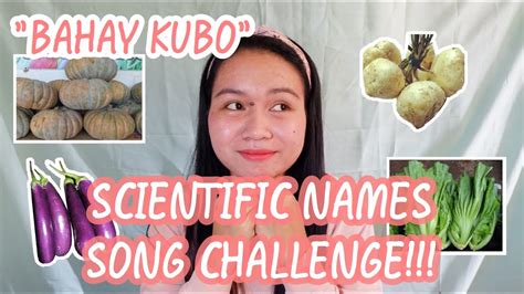 Bahay Kubo Scientific Names Song Challenge Youtube