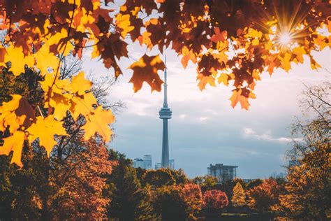 Best Places To See Fall Colours In Toronto Destination Toronto