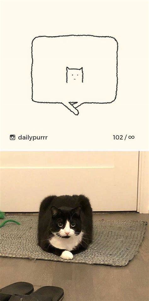 We're also on instagram and tumblr. "Stupid Cat Drawings" Are Still Funny And Accurate Cat ...