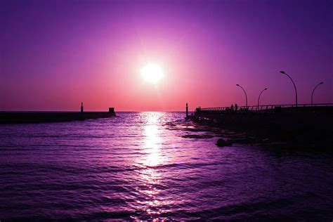 Purple Sunset Ocean Landscape Photograph By Veronika Limonov