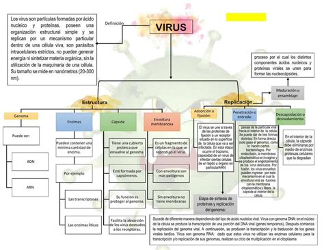 Generalidades De Los Virus Esquemas Y Mapas Conceptuales De Porn Sex