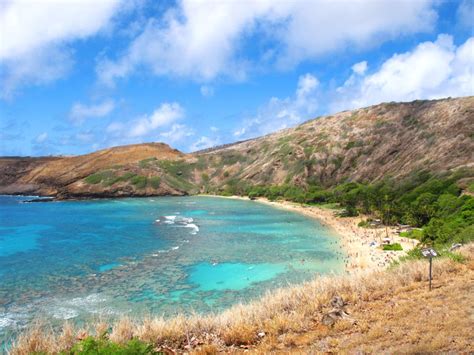 Top 12 Things To Do In Honolulu Hawaii Trekbible