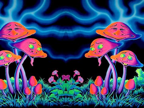 Mushroom Wallpaper Purple