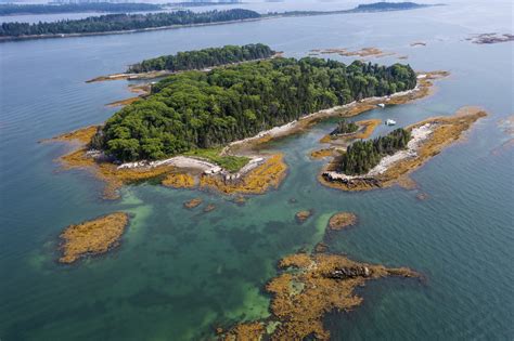 Island Tour Series: Little Whaleboat Island Botany with Amanda Devine
