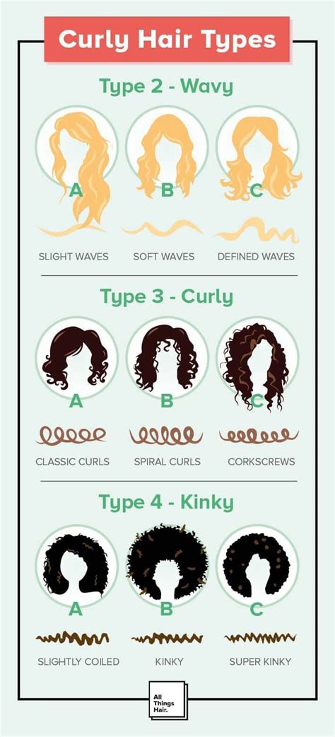 Curly Hair Types Infographic Learn The Differences All Things Hair