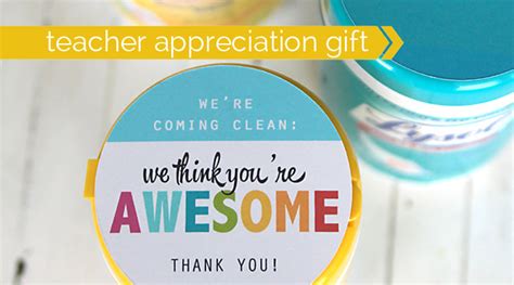 Cheap Easy And Practical Teacher Appreciation T Sanitizing Wipes
