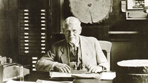 A E Douglass American Astronomer And Inventor Of Dendrochronology Tree Ring Dating