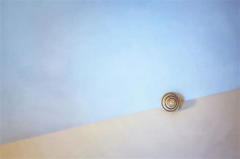Seashell By The Seashore Photograph By Scott Norris Fine Art America