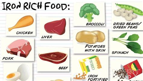 While some degree of dilutional anemia is part of normal pregnancy physiology, iron deficiency anemia can have serious adverse health consequences for the mother and child. Pin on Iron deficiency