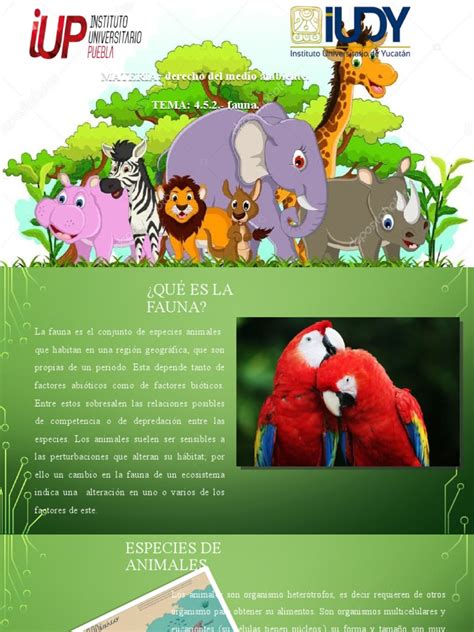 Fauna 2 Para Subir A Una Pagina Pdf Fauna Organismos
