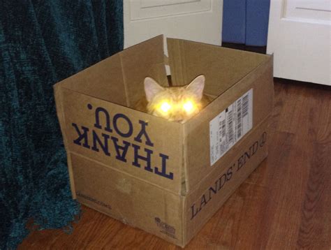 Laser Cat Pew Pew Pew Cat Laser Pew Pew Space Cat Paper Shopping Bag