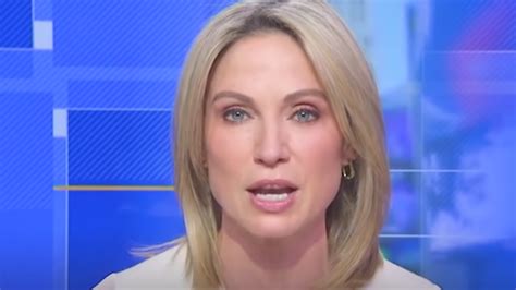 reporter amy robach vindicated over 6 years after abc news spiked epstein story analyzing america