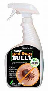 Pictures of Bed Bug Spray Exterminators Use