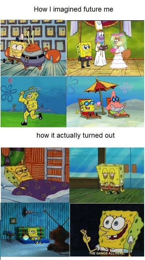 Funny Spongebob Memes That We Think Are Forever Classics The Best