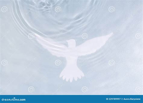 Silhouette Of White Dove On Water Background Baptism Symbol Stock