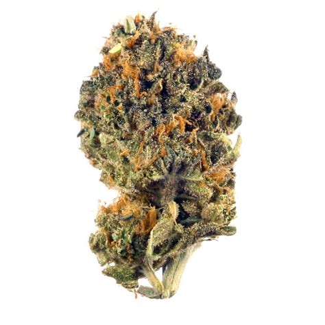 La Kush Cake Weed Strain Information — 2one2 Dispensary