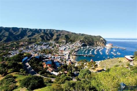 Day Trips From Orange County La San Diego And Avalon