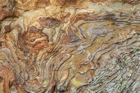 Sandstone Rock Texture 1 Photograph By John Brueske