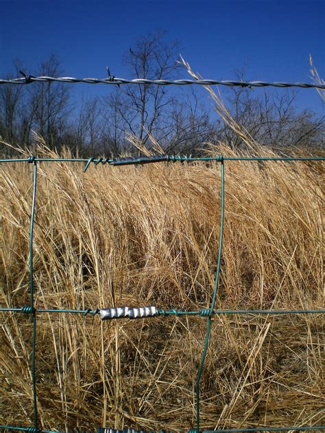 Photo Friday: Barbed Wire Fences - Beef Runner