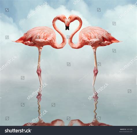 Pink Flamingos Making Heart Shape Reflection Stock Photo 2451589