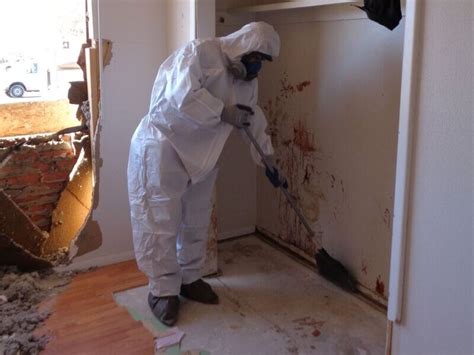 Biohazard And Crime Scene Cleanup Service American Plus Inc