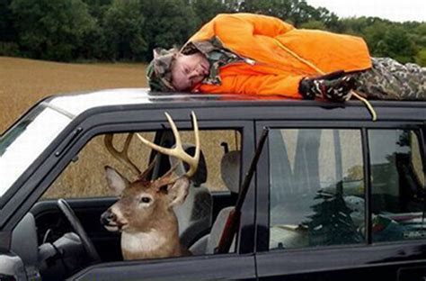 Free Download Funny Deer Hunting Pictures Loopelecom 967x638 For Your