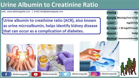 Urine For Albumin To Creatinine Ratio Test Purpose Procedure Result