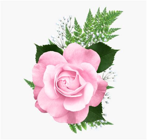Flores png para photoshop ramos de flores png flores png tumblr flores blancas png flores vector png sun png png. Clipart roses pink rose, Clipart roses pink rose ...