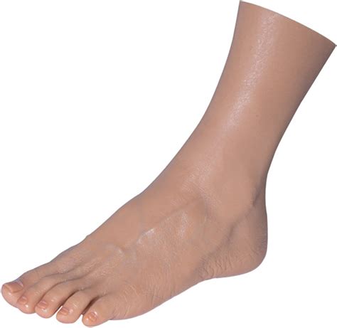 tdhlw realistic silicone foot 1 pair silicone life size female mannequin foot with