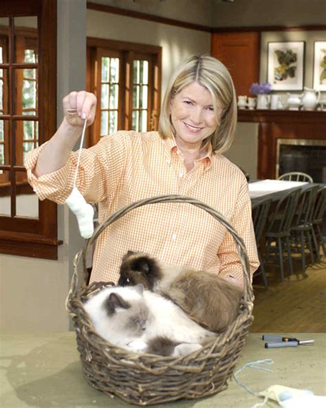 Marthas Cats Martha Stewart