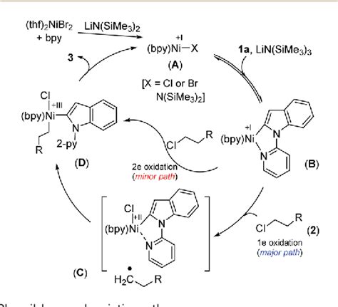 Figure 3 From Nickel Catalyzed CH Alkylation Of Indoles With