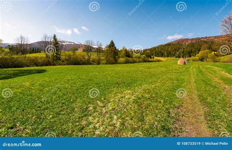 Grassy Pasture At The Foot Of The Mountain Stock Image Image Of