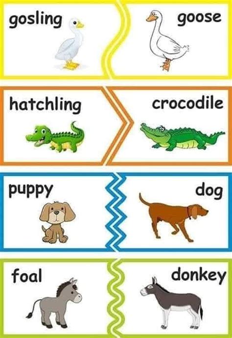 Pin by Ja on IYE in 2020 | Baby animal names, Dogs and puppies, Baby
