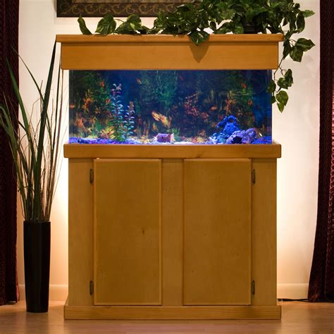 Uniquarium Rectangular Aquarium Fish Tank Aquariums At